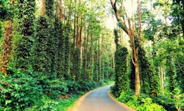 Pollachi to Salem / Yercaud – 1 Day Package